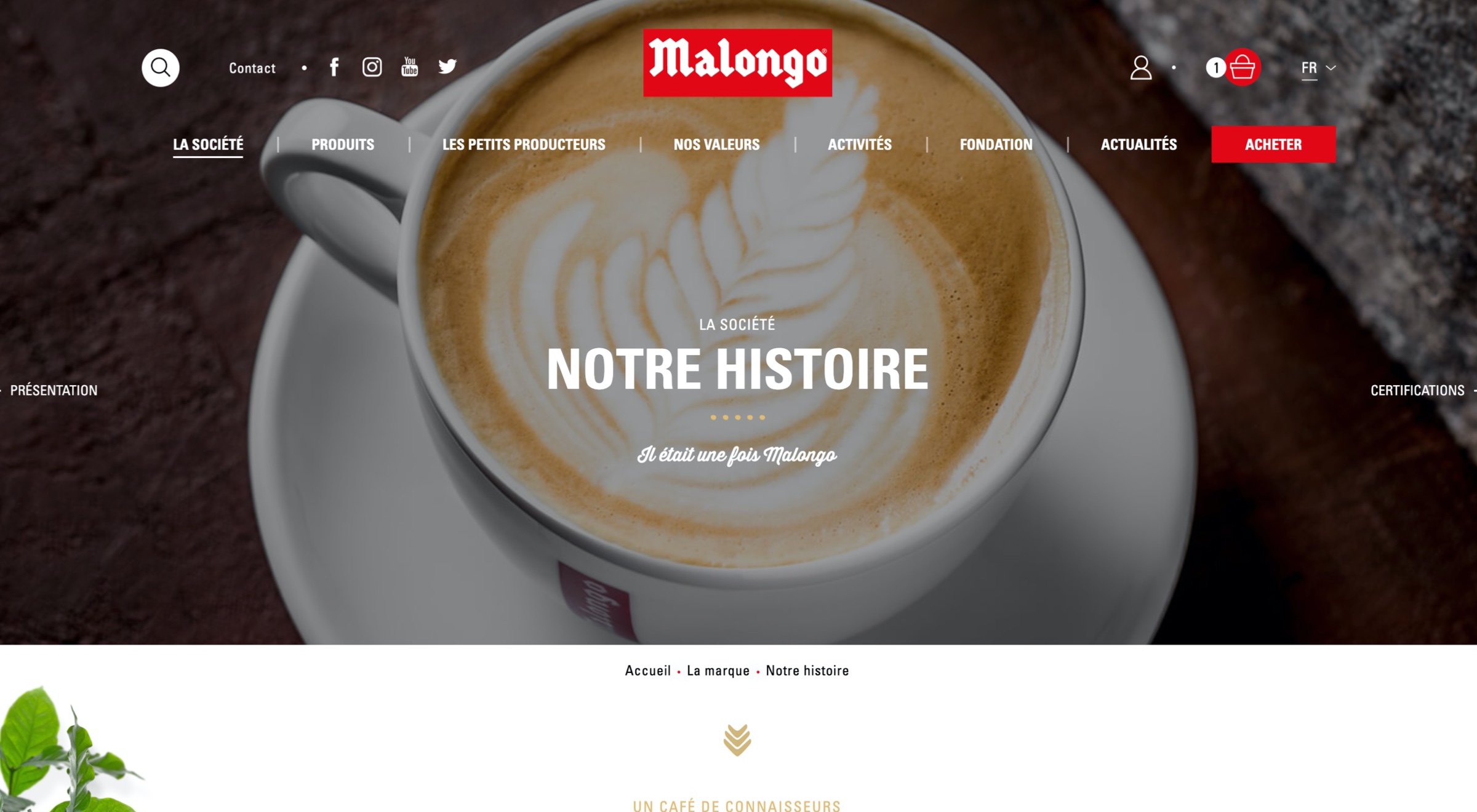 6 tasses cappuccino et thé Malongo