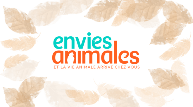 envies animales