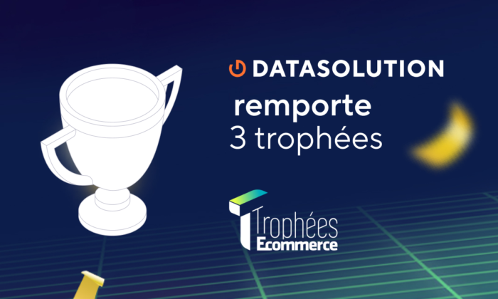 1, 2, and 3 E-commerce Awards for DATASOLUTION!