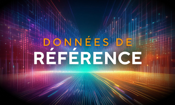 Qu'est-ce qu'une donnée de référence ?